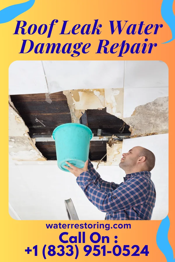 Roof Leak Water Damage Repair in Naugatuck, CT